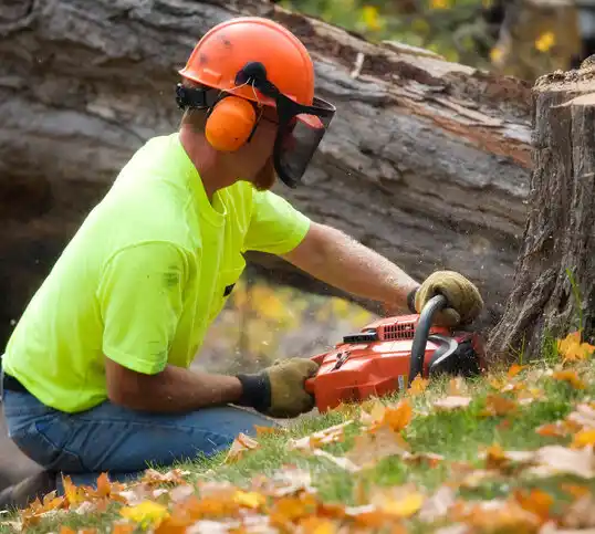 tree services North Mankato